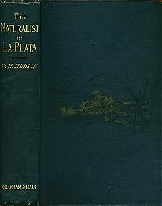 Naturalist in La Plata